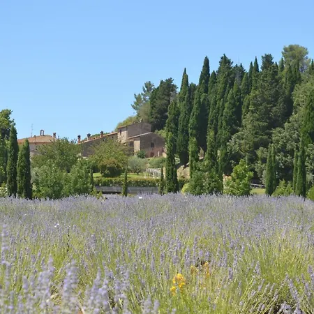 Country house Borgo Il Castagno *