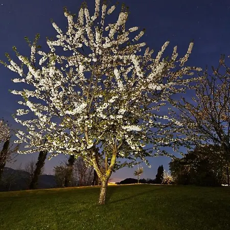 Borgo Il Castagno Country house *